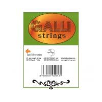 Light 0.20 gauge Galli Saz strings in Gg - dd - Aaa tuning, made in Italy.
