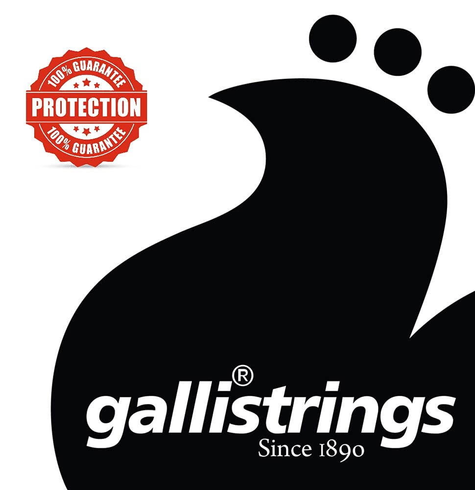 Set of 11 silver plated black nylon oud strings for Arabic ouds made in Italy by Galli