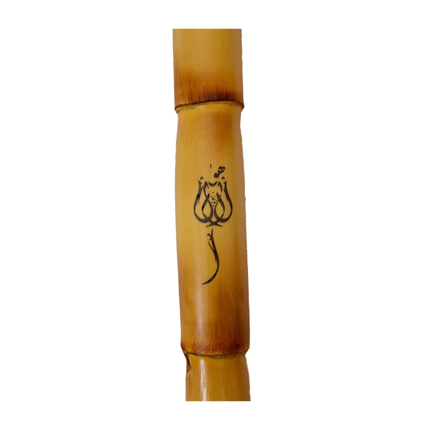 Egyptian Ney Corsaro Music Bamboo Cane in Hand-crafted case
